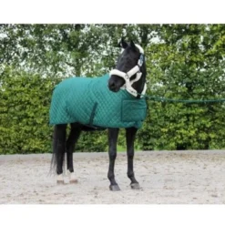 HB Showtime Showdeken Desire160gr Forest-green 125/175 -Exporteren Paard Gear Winkel hb 1321 forest green.200f65