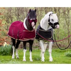 HB Harry & Hector Showdeken Dutch Crown Little Sizes Zwart -Exporteren Paard Gear Winkel hb 1337 ass.ddf78d