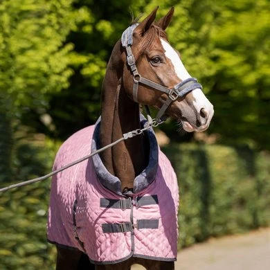 HB Showdeken Velvet Sunset Old Pink 2 HB Showdeken Velvet Sunset Old Pink - Afbeelding 2