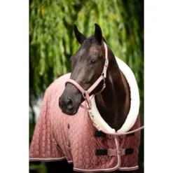 HB Showdeken Velvet Peach Tropical 160g Peach -Exporteren Paard Gear Winkel hb 1342 4.05e7ee