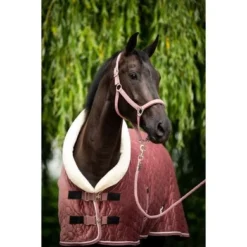 HB Showdeken Velvet Peach Tropical 160g Peach -Exporteren Paard Gear Winkel hb 1342 5.8d587f