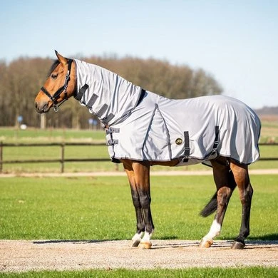 HB Vliegendekens Met Halsstuk Grijs 1 HB Vliegendekens Met Halsstuk Grijs