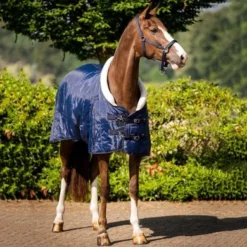 HB Showtime Showdeken Fluffy Hood Navy -Exporteren Paard Gear Winkel hb 1408 2.d4cf2c