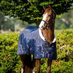 HB Showtime Showdeken Fluffy Hood Navy -Exporteren Paard Gear Winkel hb 1408 3.a8a624