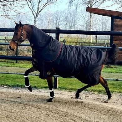 HB Outdoordeken Model Kentucky Afneembare Hals 300g Zwart 12 HB Outdoordeken Model Kentucky Afneembare Hals 300g Zwart - Afbeelding 12