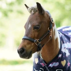 HB Harry And Hector Outdoordeken Unicorn Dream -Exporteren Paard Gear Winkel hb 1429 2.7dccb2