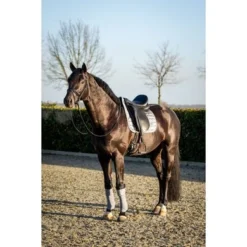HB Zadeldekje Showtime Lake View Dressuur Grijs -Exporteren Paard Gear Winkel hb 640 grijs.d05aa3