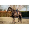 HB Zadeldekje Showtime Lake View Dressuur Rose Gold