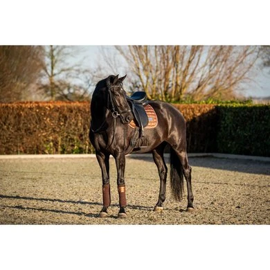 HB Zadeldekje Showtime Lake View Dressuur Rose Gold 2 HB Zadeldekje Showtime Lake View Dressuur Rose Gold - Afbeelding 2