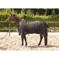 Harry's Horse Staldeken Highliner 0g Navy Met Iron Accenten 18 Harry's Horse Staldeken Highliner 0g Navy Met Iron Accenten -Exporteren Paard Gear Winkel hh 32200314.d21c86