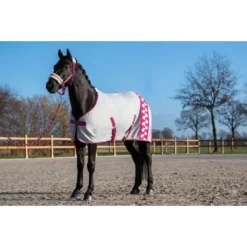 HKM Zweetdeken Sweet Valentine Roze/Zilver -Exporteren Paard Gear Winkel hkm 1337513371 1.4574e7
