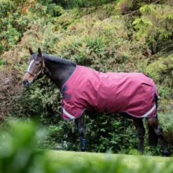 Rambo Original Turnout Lite L/A 0g Burgundy/Teal/Navy 23 Rambo Original Turnout Lite L/A 0g Burgundy/Teal/Navy -Exporteren Paard Gear Winkel horseware aaaa05 qqgb 2 7927x5285.33e4e2