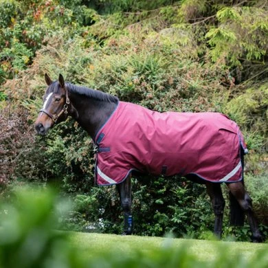 Rambo Original Turnout Lite L/A 0g Burgundy/Teal/Navy 11 Rambo Original Turnout Lite L/A 0g Burgundy/Teal/Navy - Afbeelding 11