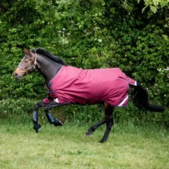 Rambo Original Turnout Lite L/A 0g Burgundy/Teal/Navy 24 Rambo Original Turnout Lite L/A 0g Burgundy/Teal/Navy -Exporteren Paard Gear Winkel horseware aaaa05 qqgb 8086x5391.778289