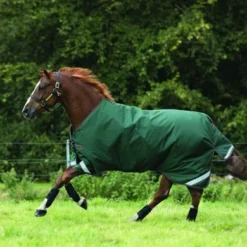Rambo Original Turnout Lite L/A 100g Groen/Rood 14 Rambo Original Turnout Lite L/A 100g Groen/Rood -Exporteren Paard Gear Winkel horseware aaaa06 gr00 2 6720x4480.54d5c7