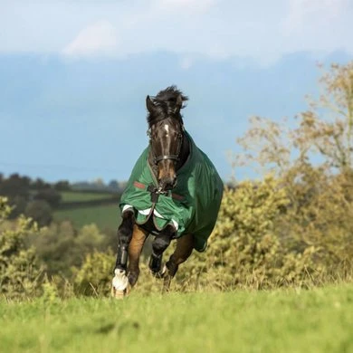 Rambo Original Turnout Lite L/A 100g Groen/Rood 3 Rambo Original Turnout Lite L/A 100g Groen/Rood - Afbeelding 3