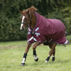 Rambo Wug Turnout Lite 50g Burgundy/Dusty Bleu/Navy 4 Rambo Wug Turnout Lite 50g Burgundy/Dusty Bleu/Navy -Exporteren Paard Gear Winkel horseware aaaw0e qqdb 2 4480x6720.bdcfac