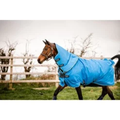 Amigo Hero 900 Plus Turnout Med 200g Daphne Blue/Zwart/Wit 8 Amigo Hero 900 Plus Turnout Med 200g Daphne Blue/Zwart/Wit -Exporteren Paard Gear Winkel horseware aampt4 cdkw 12 7891x5261.7e2d25