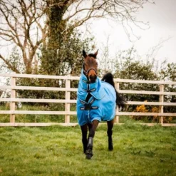 Amigo Hero 900 Plus Turnout Med 200g Daphne Blue/Zwart/Wit 9 Amigo Hero 900 Plus Turnout Med 200g Daphne Blue/Zwart/Wit -Exporteren Paard Gear Winkel horseware aampt4 cdkw 13 6316x4200.5f32bd