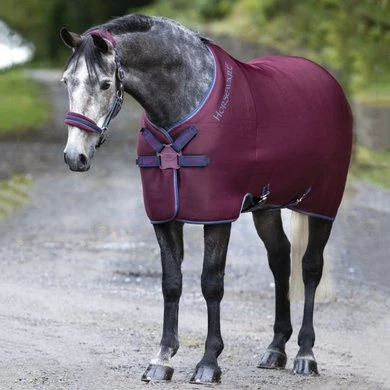 Rambo Airmax Cooler Disc Front Burgundy/Teal/Navy 1 Rambo Airmax Cooler Disc Front Burgundy/Teal/Navy