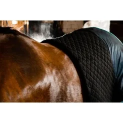 Horseware Cooler Autumn Zwart/Aqua 9 Horseware Cooler Autumn Zwart/Aqua -Exporteren Paard Gear Winkel horseware achfl2 kdi0 horseware autumn cooler 28.561ab4