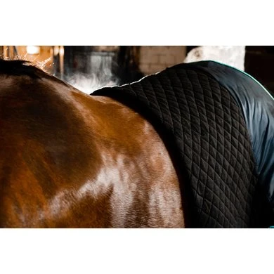 Horseware Cooler Autumn Zwart/Aqua 5 Horseware Cooler Autumn Zwart/Aqua - Afbeelding 5