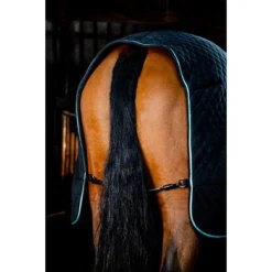 Horseware Cooler Autumn Zwart/Aqua 8 Horseware Cooler Autumn Zwart/Aqua -Exporteren Paard Gear Winkel horseware achfl2 kdi0 horseware autumn cooler 41.21df4b