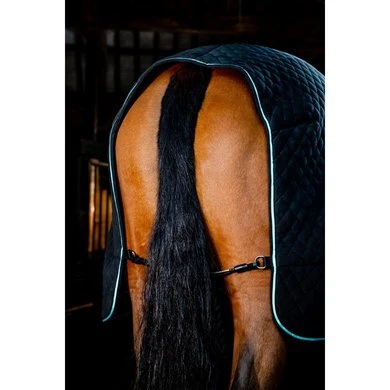 Horseware Cooler Autumn Zwart/Aqua 4 Horseware Cooler Autumn Zwart/Aqua - Afbeelding 4