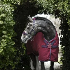 Rambo Helix Staldeken Discsluiting Burgundy/Teal/Navy 100/152 -Exporteren Paard Gear Winkel horseware adat6g qqgb 2 8513x5675.4be2b0