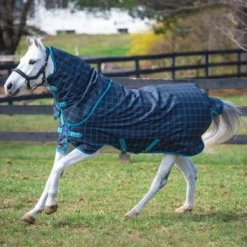 Amigo Pony Plus 50g ZwartCheck Teal/Zilver