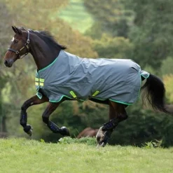 Amigo Hero 900 Lite Disc 0g Grey/Lime/Green