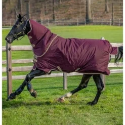 Amigo Hero Ripstop Plus Lite 0g Fig/Navy/Tan