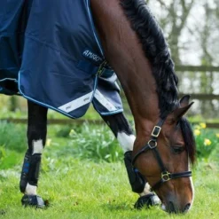 Amigo Turnout Lite Bravo 12 0g Navy -Exporteren Paard Gear Winkel hw aara41 bbw0 4.83cb0c