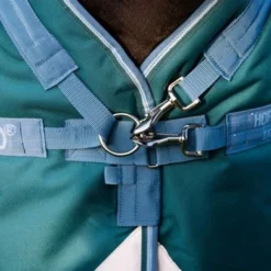 Amigo Bravo 12 Plus Turnout Heavy 400g Storm Green 14 Amigo Bravo 12 Plus Turnout Heavy 400g Storm Green -Exporteren Paard Gear Winkel hw aarp74 gedc amigo bravo 12 plus turnout heavy 450g 4.717a91