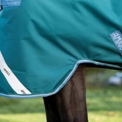 Amigo Bravo 12 Plus Turnout Heavy 400g Storm Green 16 Amigo Bravo 12 Plus Turnout Heavy 400g Storm Green -Exporteren Paard Gear Winkel hw aarp74 gedc amigo bravo 12 plus turnout heavy 450g 7.91b30c
