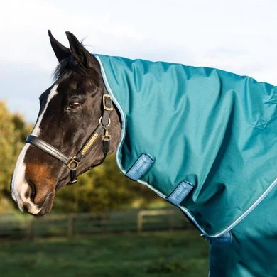 Amigo Bravo 12 Plus Turnout Heavy 400g Storm Green 2 Amigo Bravo 12 Plus Turnout Heavy 400g Storm Green - Afbeelding 2