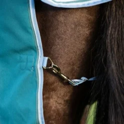 Amigo Bravo 12 Plus Turnout Heavy 400g Storm Green 19 Amigo Bravo 12 Plus Turnout Heavy 400g Storm Green -Exporteren Paard Gear Winkel hw aarp74 gedc amigo bravo 12 plus turnout heavy 450g 9.53293f