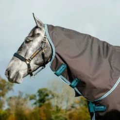 Amigo Bravo 12 Plus Turnout Lite Disc Excalibur -Exporteren Paard Gear Winkel hw aarpt1 amigo bravo 12 plus turnout lite disc 0g 7.547287