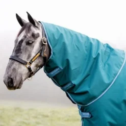 Amigo Bravo 12 Plus Turnout Disc Front 100g Storm Green -Exporteren Paard Gear Winkel hw aarpt3 gedc amigo bravo 12 plus turnout disc 100g 4.4c4785