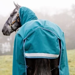 Amigo Bravo 12 Plus Turnout Disc Front 100g Storm Green -Exporteren Paard Gear Winkel hw aarpt3 gedc amigo bravo 12 plus turnout disc 100g 5.0f0300