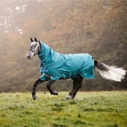 Amigo Bravo 12 Plus Turnout Disc Front 100g Storm Green -Exporteren Paard Gear Winkel hw aarpt3 gedc amigo bravo 12 plus turnout disc 100g 7.4943fe