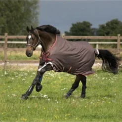 Amigo Turnout Lite Bravo 12 Disc Front Brown/Red Gold