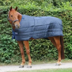 Horseware Liner 300g Navy -Exporteren Paard Gear Winkel hw abad61 bb001.3c2612