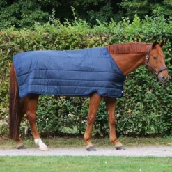 Horseware Liner 300g Navy -Exporteren Paard Gear Winkel hw abad61 bb002.763db8