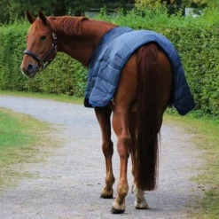 Horseware Liner 300g Navy -Exporteren Paard Gear Winkel hw abad61 bb005.56719d