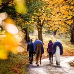 Horseware Embossed Cosy Neck Cooler Navy/Burgundy/Wit -Exporteren Paard Gear Winkel hw achjkp b5qw achdkp b5qw 1.052cbf