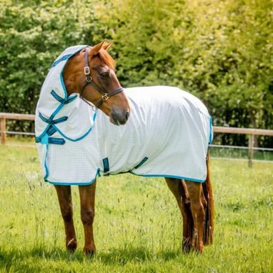 Amigo Aussie Allrounder DF Navy Check/Electric Blue 2 Amigo Aussie Allrounder DF Navy Check/Electric Blue - Afbeelding 2