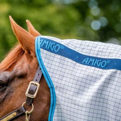 Amigo Aussie Allrounder DF Navy Check/Electric Blue 4 Amigo Aussie Allrounder DF Navy Check/Electric Blue - Afbeelding 4