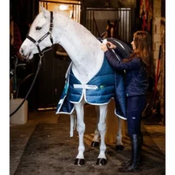 Horseware Eco Liner 200g Teal Eco Print -Exporteren Paard Gear Winkel hw ahhek1 c5tj horseware ameco liner 100g 7.f64a1d