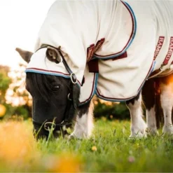 Rambo Hoody Petite Sand/Cherry -Exporteren Paard Gear Winkel hw aoap6c trzc 7.ed1135